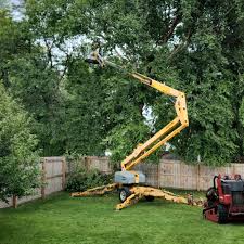 Leaf Removal in Zeigler, IL